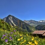 a view of a mountain range with wildflowers and mountains in the background